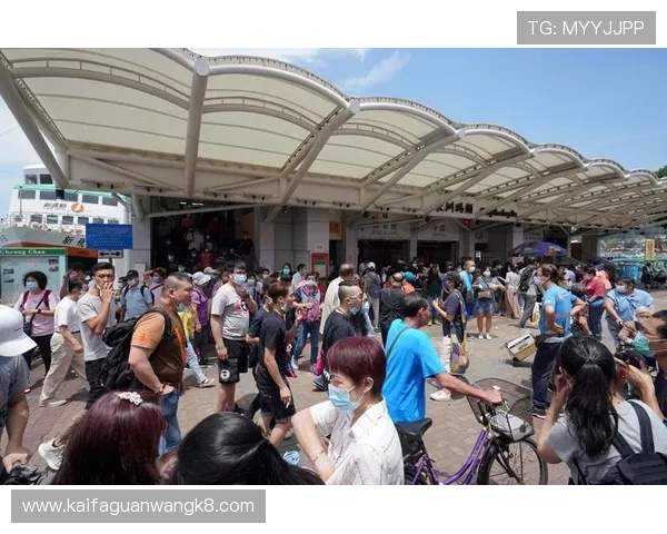 掌握K8凯发滚球盘的投注技巧与常见误区，助你成为专业投注高手